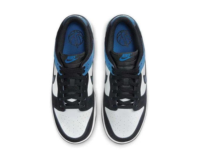 Кроссовки Nike Dunk Low Retro NAS Summit White/Black/White/Industrial Blue